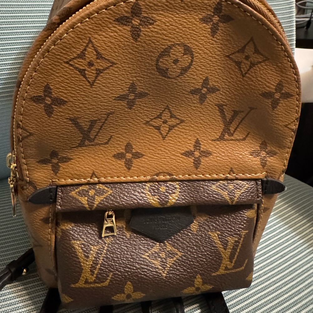 Louis Vuitton Reverse Monogram Palm Springs Mini Backpack - Picture 3 of 7
